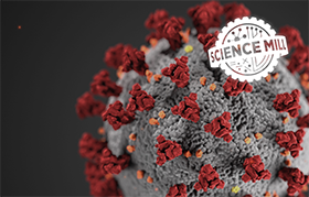 What do you wonder about the Coronavirus?