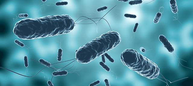 UTSA Researchers Discover New Method to Inhibit Cholera Infection