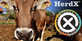 HERDX RAISES $5M IN FUNDING FOR IOT SYSTEM TO HELP FARMERS TRACK LIVESTOCK