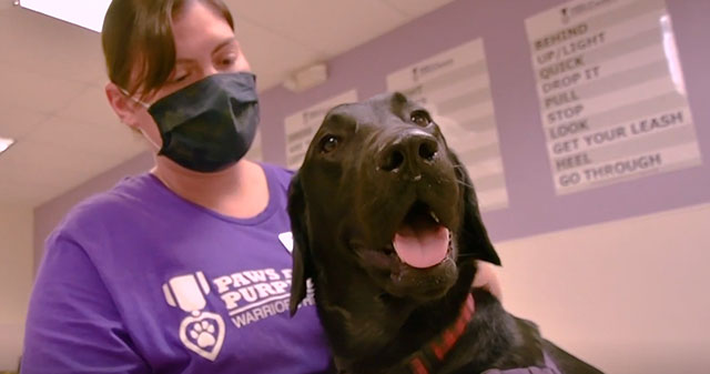 How Paws for Purple Hearts helps wounded warriors while training service animals